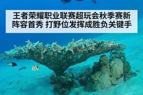 王者荣耀职业联赛超玩会秋季赛新阵容首秀 打野位发挥成胜负关键手