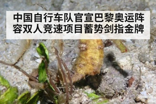 中国自行车队官宣巴黎奥运阵容双人竞速项目蓄势剑指金牌