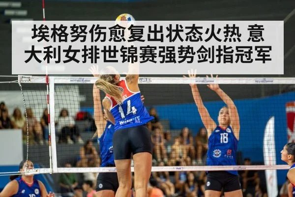 volleyball match